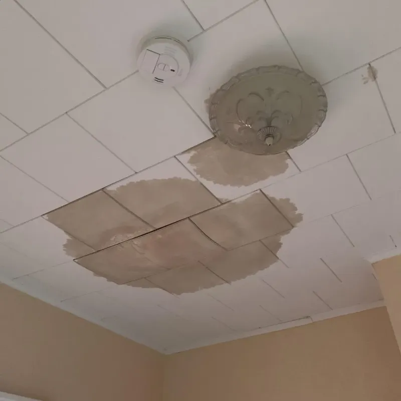 Ceiling Water Damage Repair in Sabine County, TX