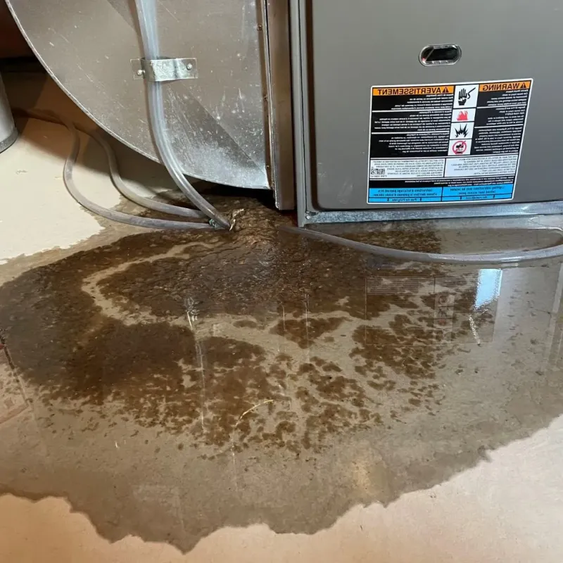 Pipe Burst and Leak Restoration in Sabine County, TX