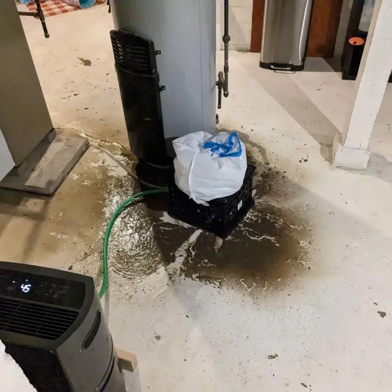 Sewage Backup Cleanup Service in Sabine County, TX